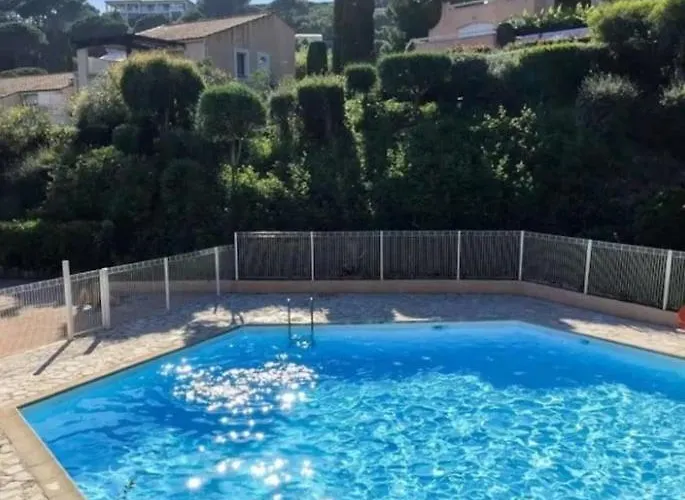 Les Lavandes, Vue Mer, Piscine * サント・マキシム